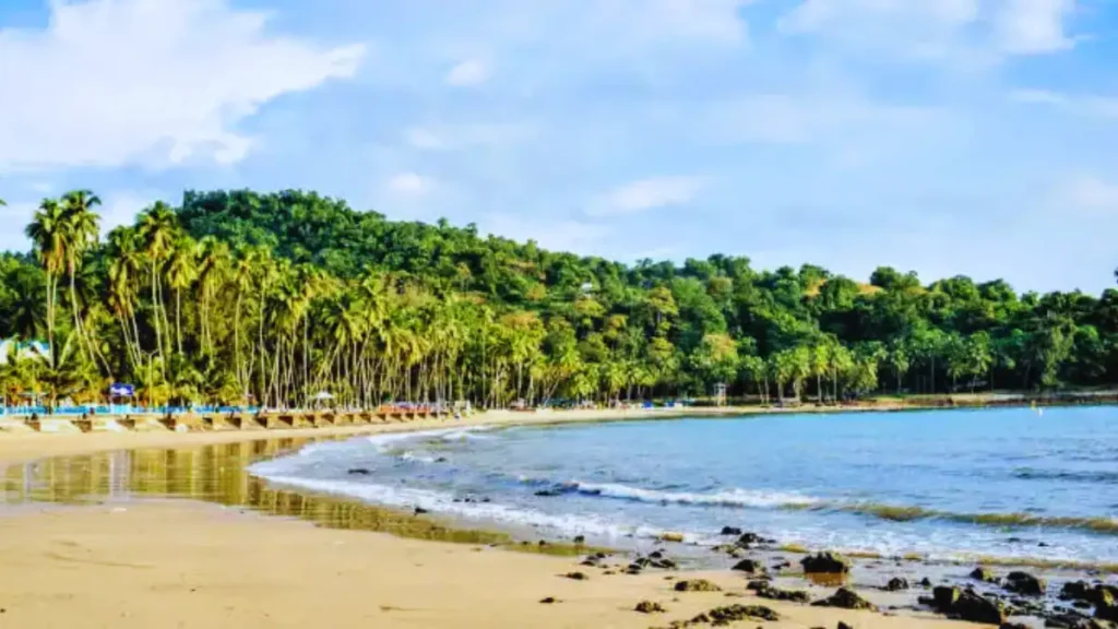 Corbyn Cove Beach