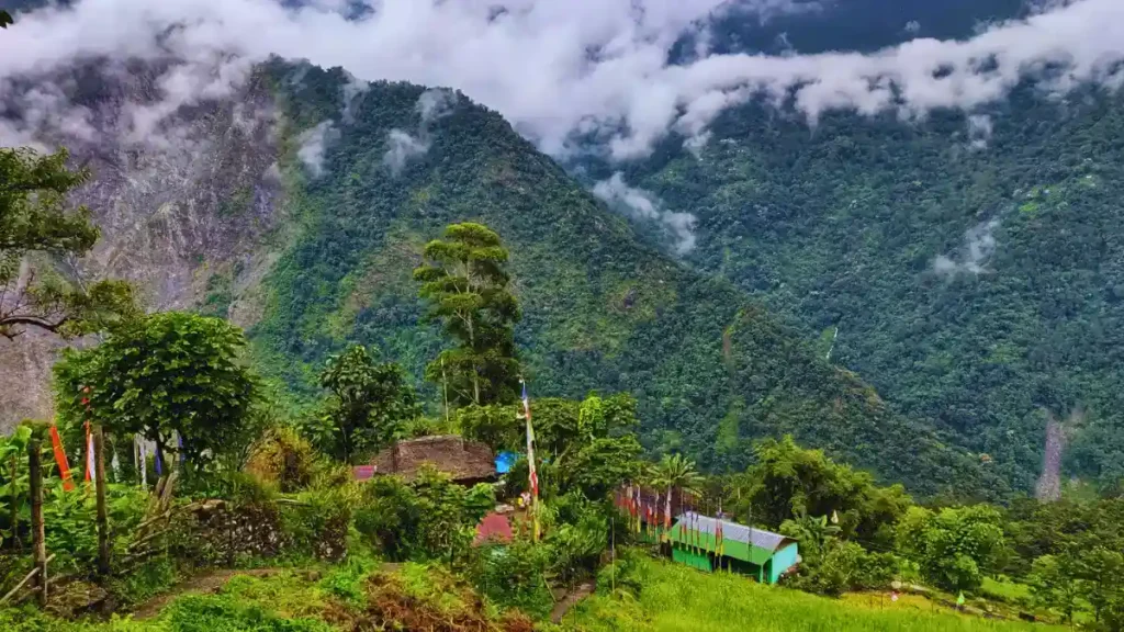  Dzongu