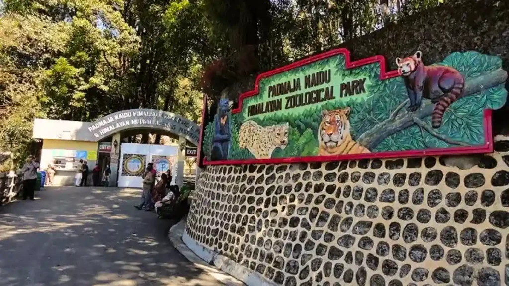 Padmaja Naidu Himalayan Zoological Park