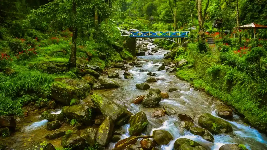 Rock Garden and Ganga Maya Park