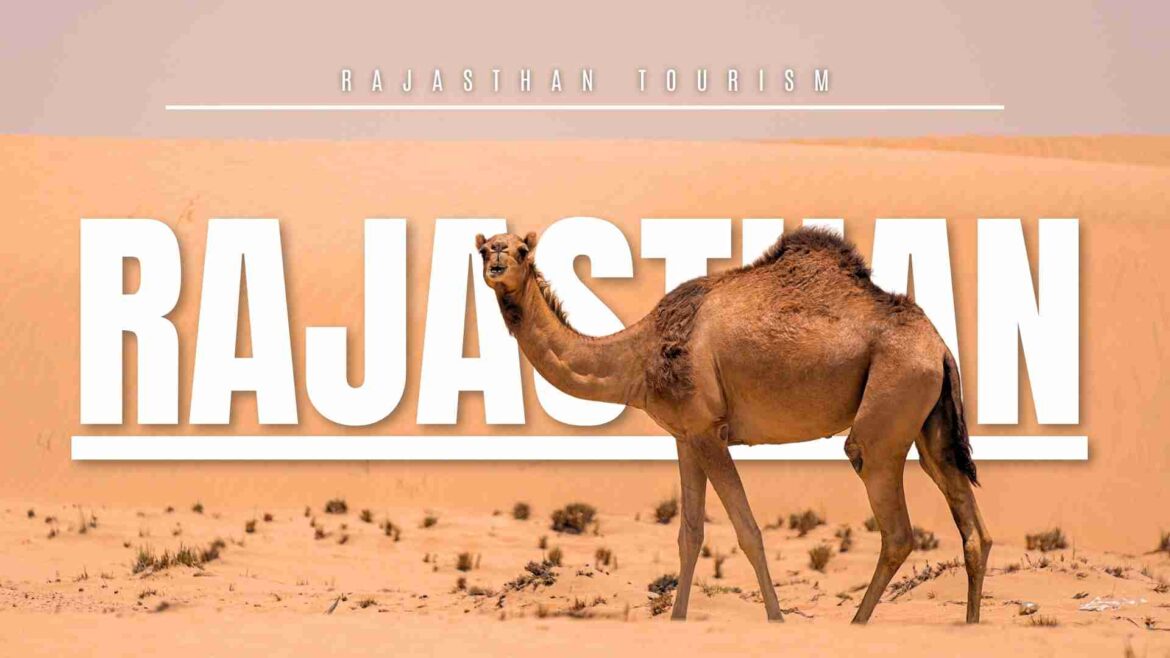 tourism in Rajasthan has increased about 12 times since 2020