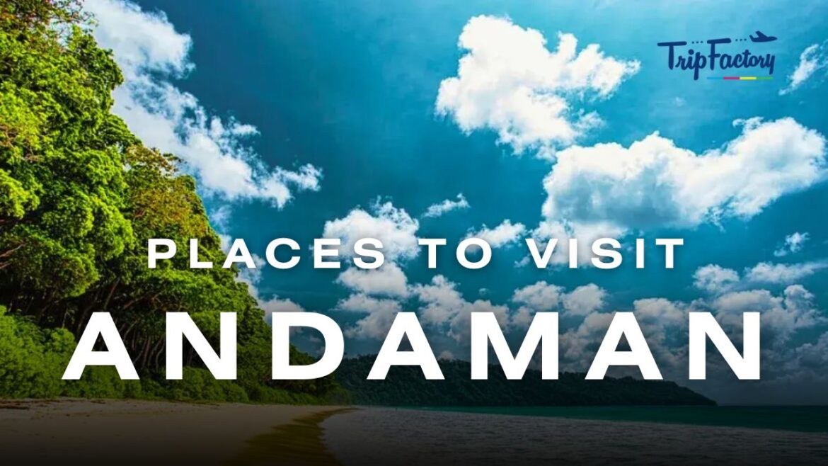 Best Places to Visit in Andaman