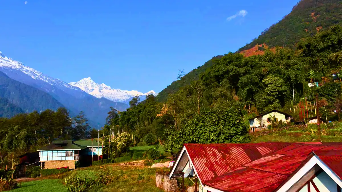 Dzongu