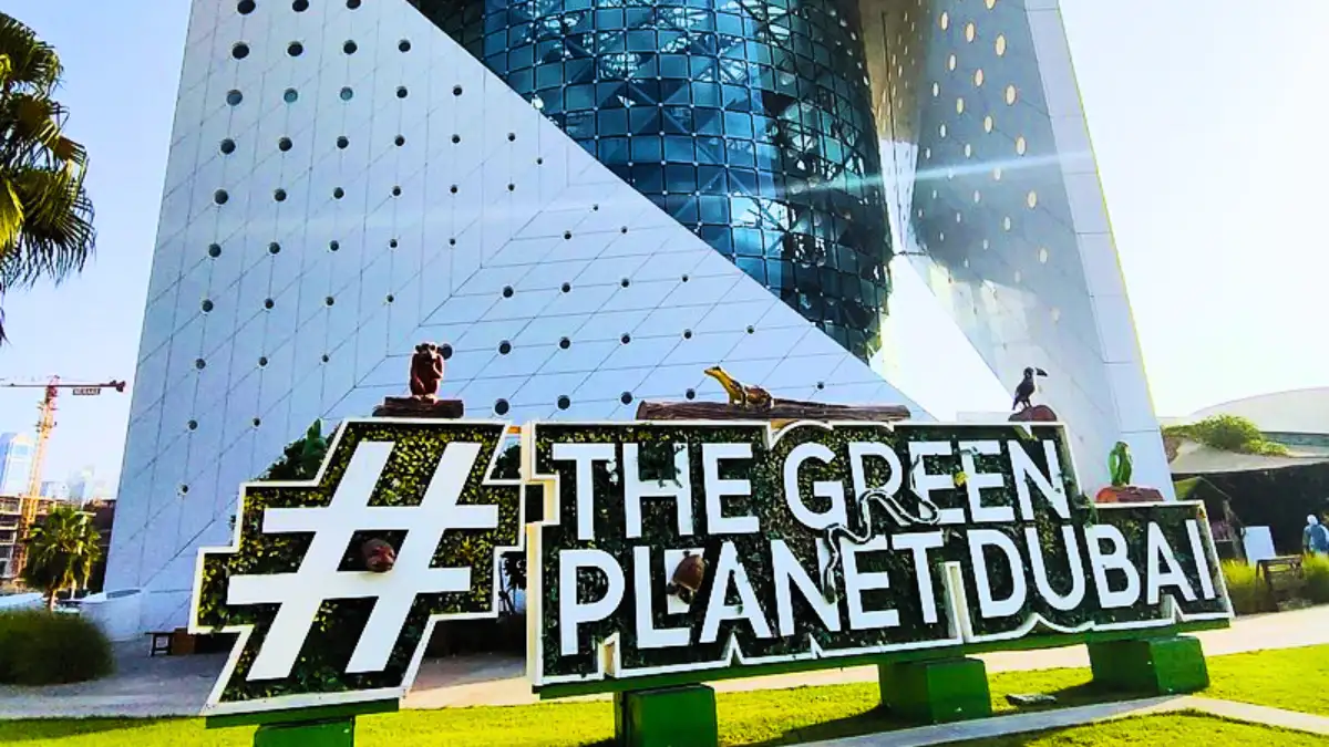 Green planet 