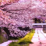 Kyoto, Japan