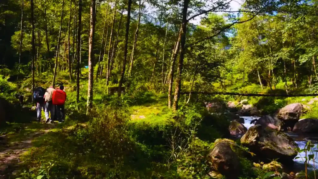 Ravangla Yambung Trek