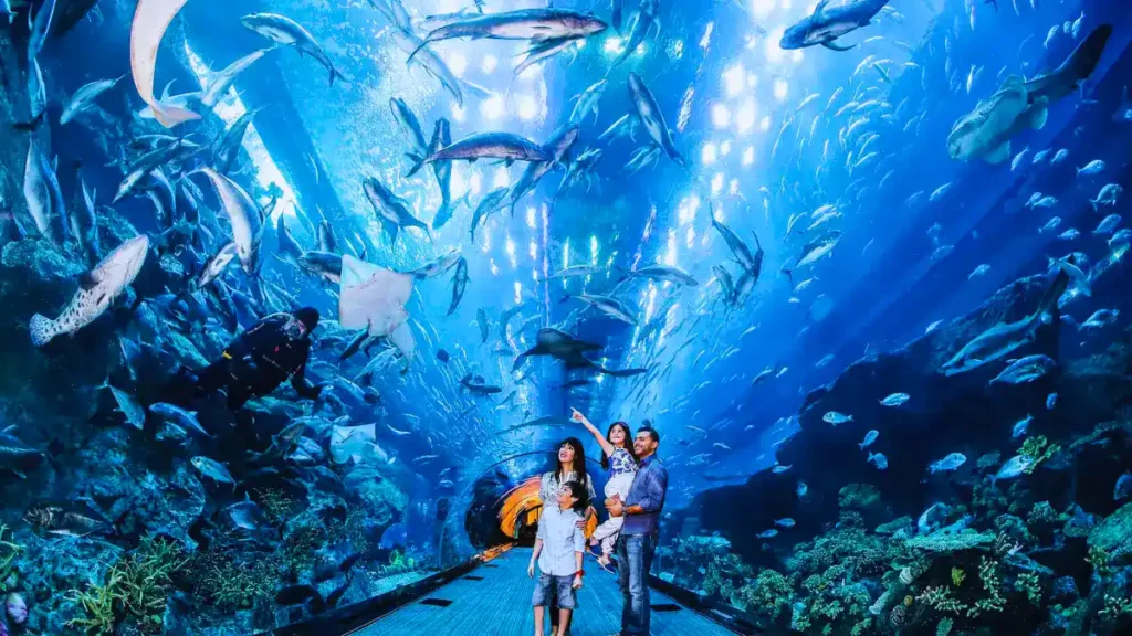 The Dubai Aquarium.