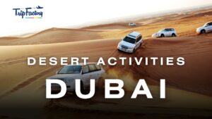 Top Desert activities to do in Dubai, Dubai-Desert-Safari