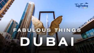 fabulous things to do in Dubai for free