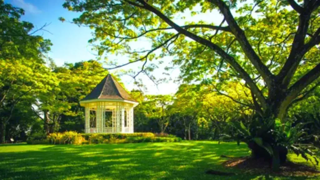 singapore botanic gardens