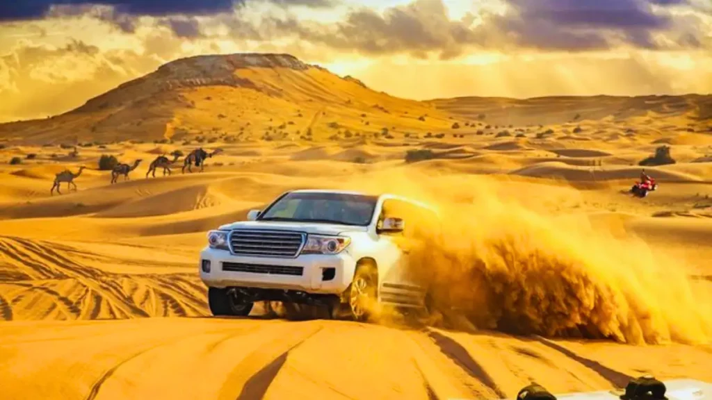 the Desert dune bashing in Dubai