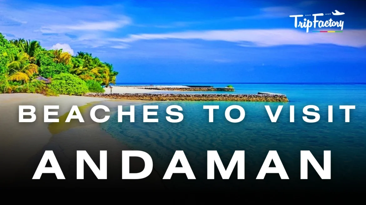 Beaches to visit in Andaman