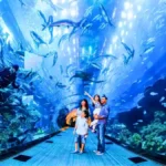 Dubai Aquarium and Underwater zoo