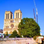 Notre Dame 