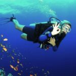 Snorkeling and Diving