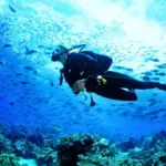 Andaman Sea Diving