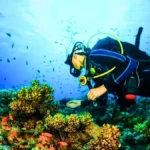 Scuba Diving and Snorkeling: