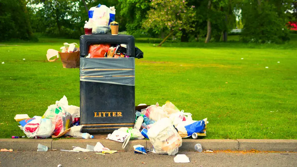 Don't drop litter in Singapore