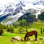 Pahalgam