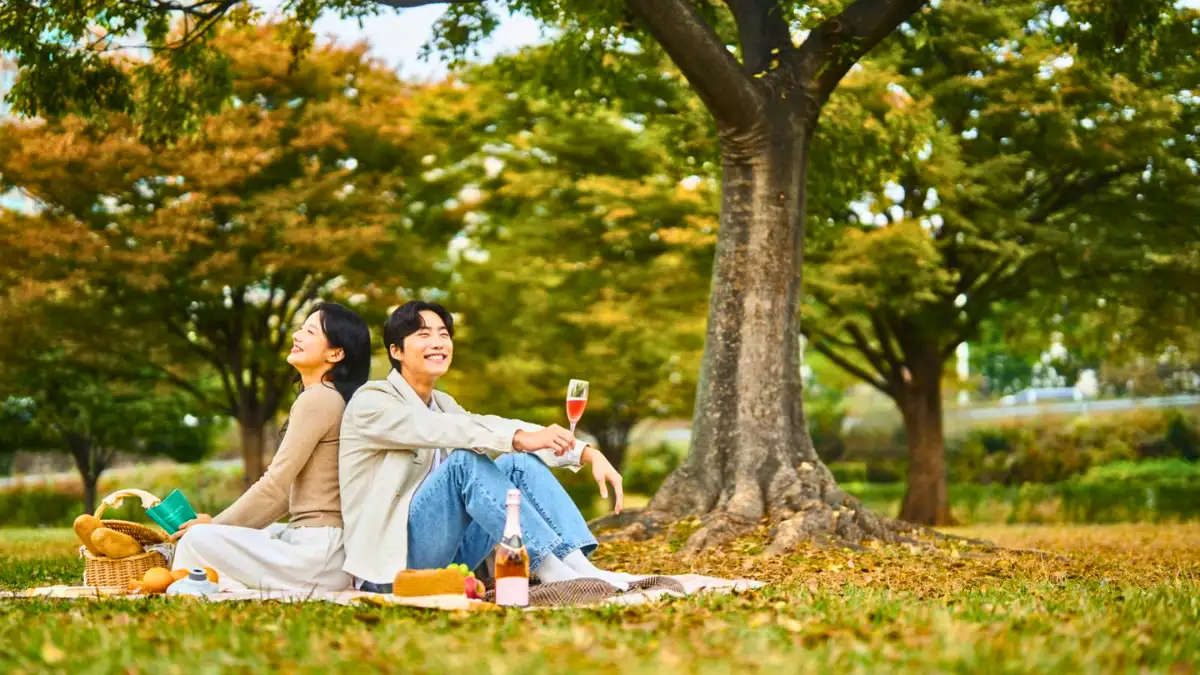 Picnic at the Park