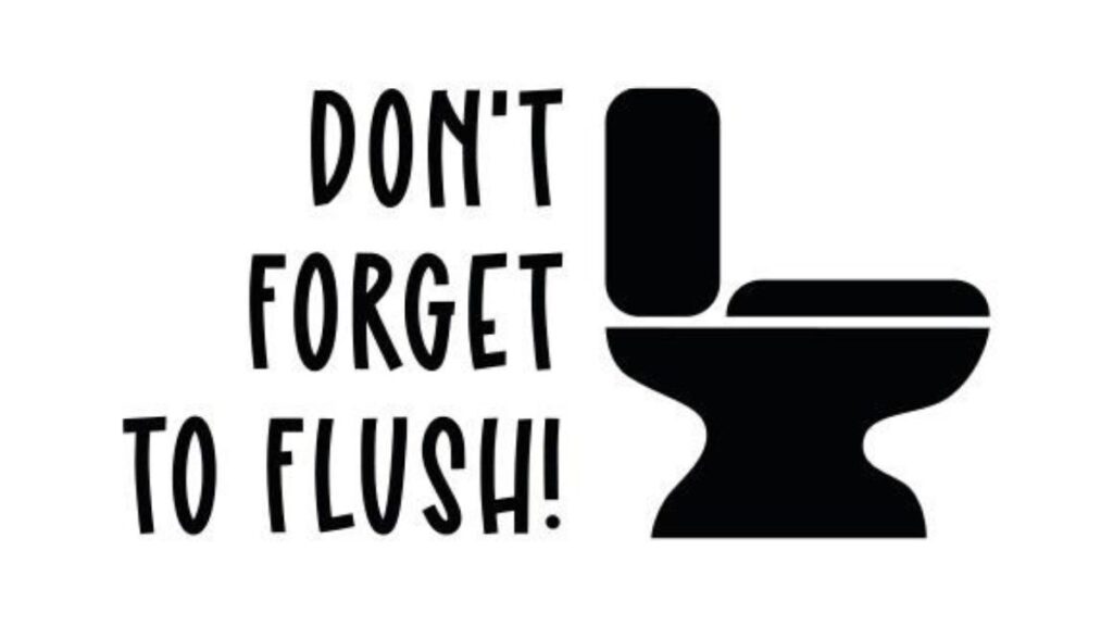 Remember to flush 