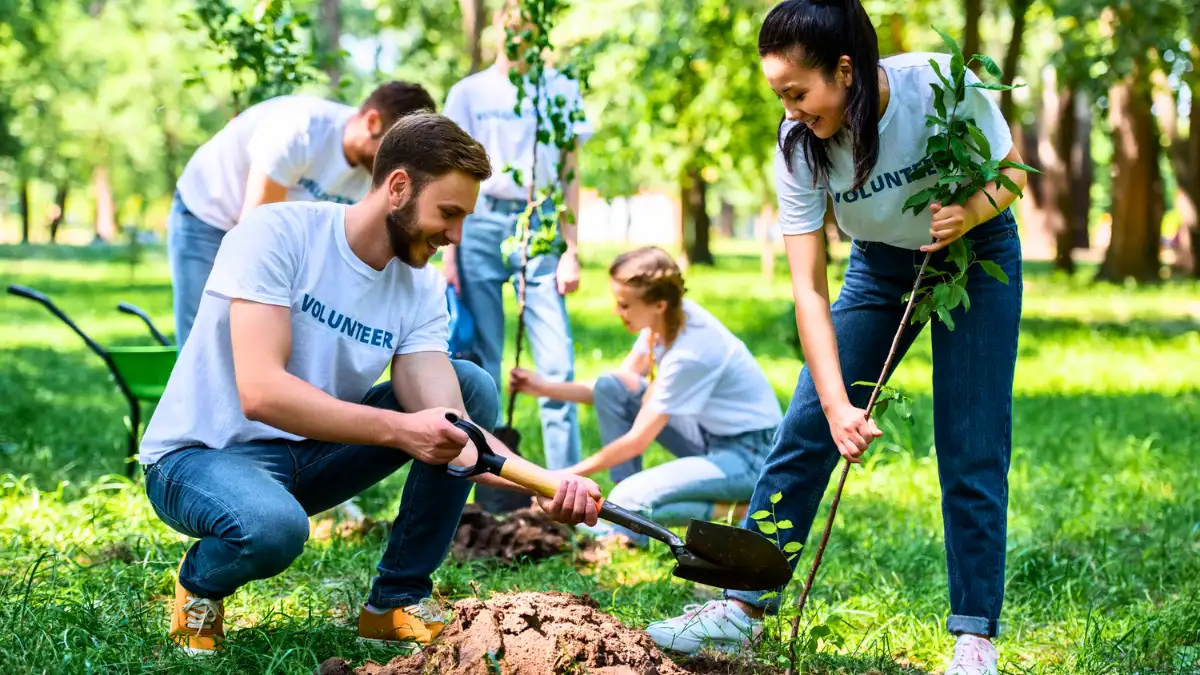 Volunteer Together