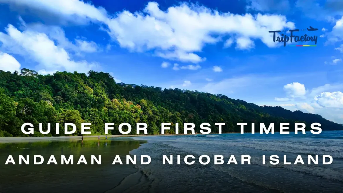Andaman and Nicobar Island Guide for First Timers Andaman and Nicobar Island Guide for First Timers