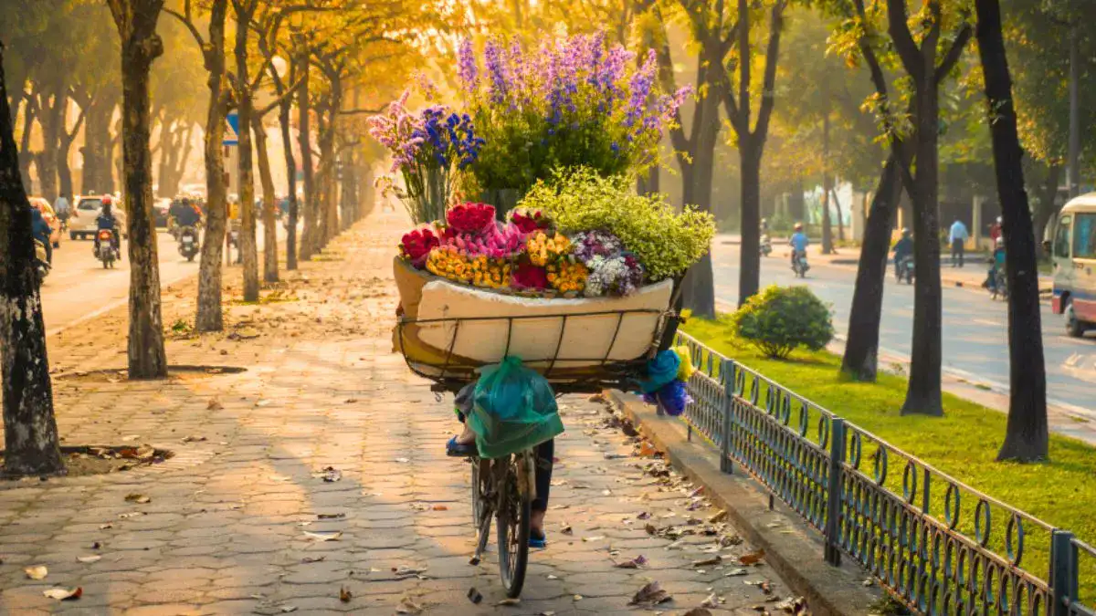 Autumn in Vietnam