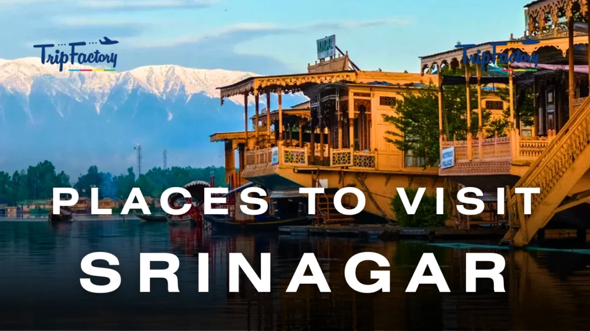 Best Places to Visit in Srinagar Best Places to Visit in Srinagar