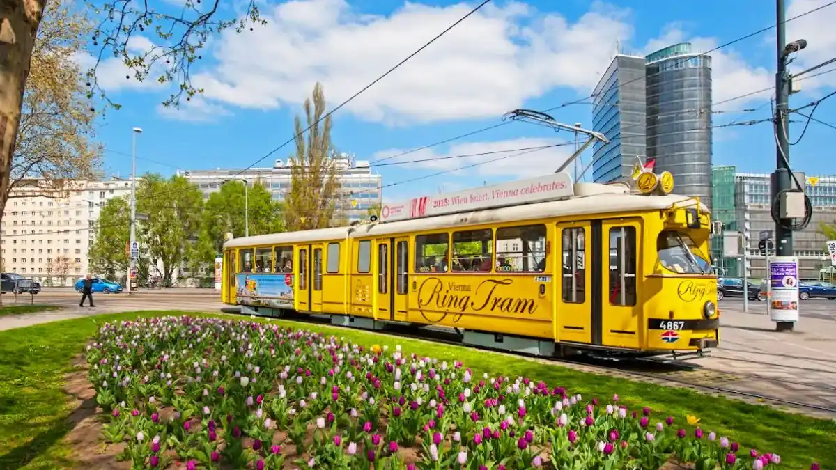 Ride On Vienna Ring Tram