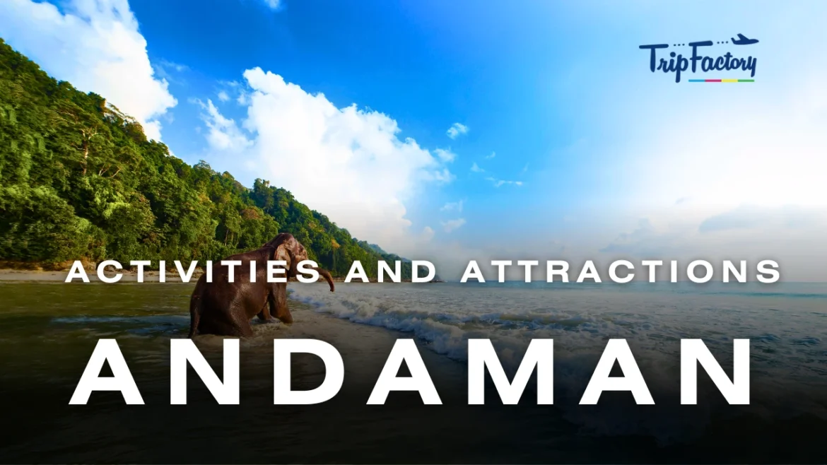 Top Activities and Attractions of Andaman Top Activities and Attractions of Andaman