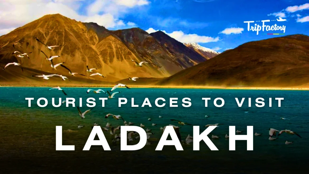 Tourist Places to Visit in Ladakh