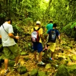 Trekking and Nature Trails: