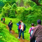 Trekking and Nature Trails 1