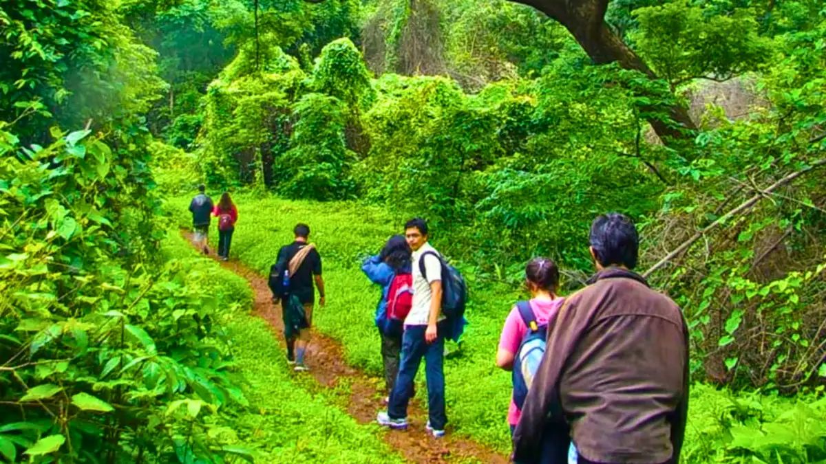 Trekking and Nature Trails