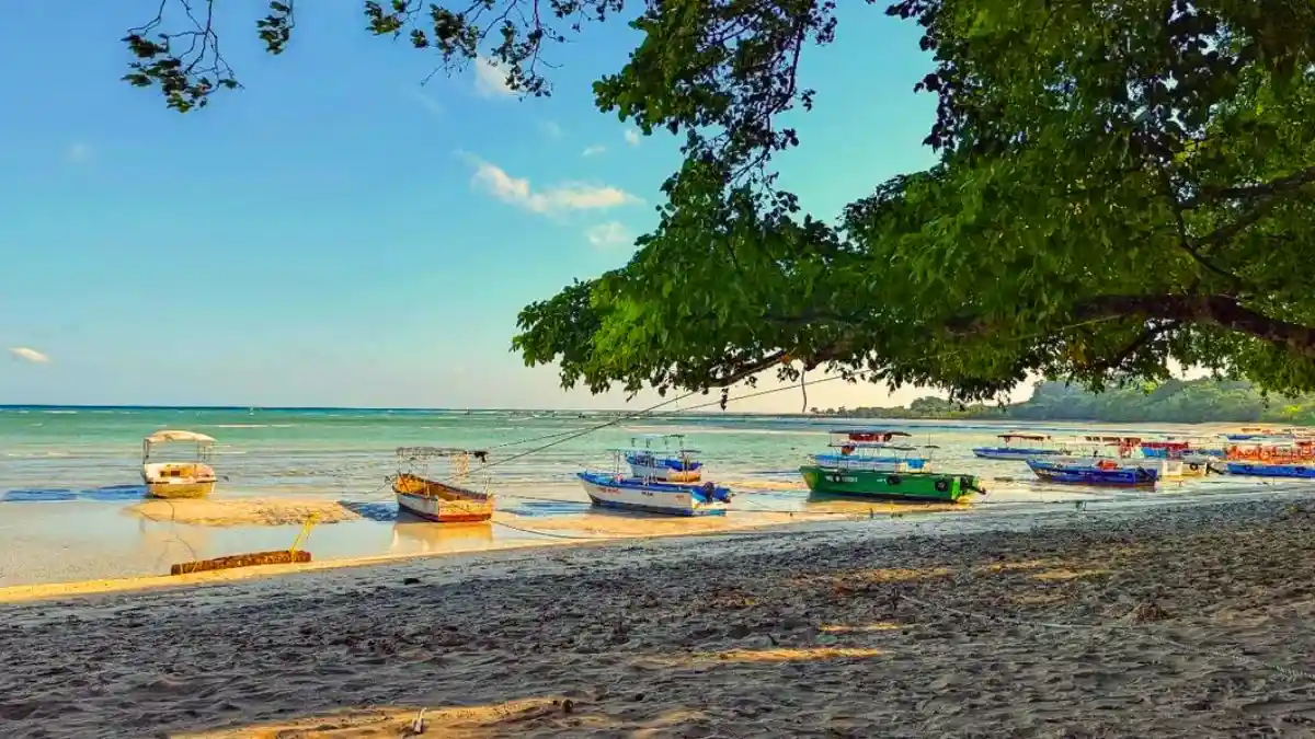 Bharatpur Beach