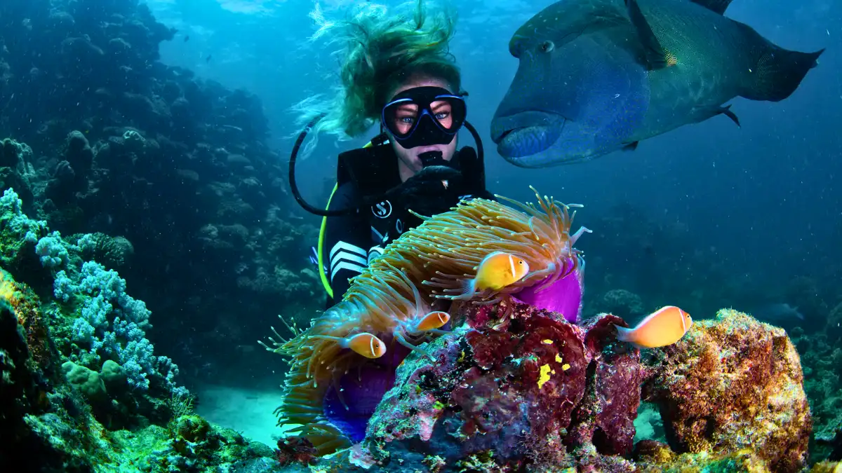 Dive into the Great Barrier Reef