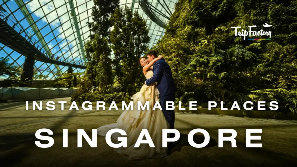 Instagrammable Places In Singapore Instagrammable Places In Singapore