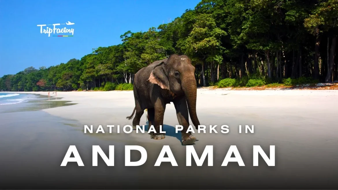 National Parks in Andaman National Parks in Andaman