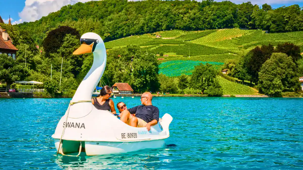 Pedalo rides