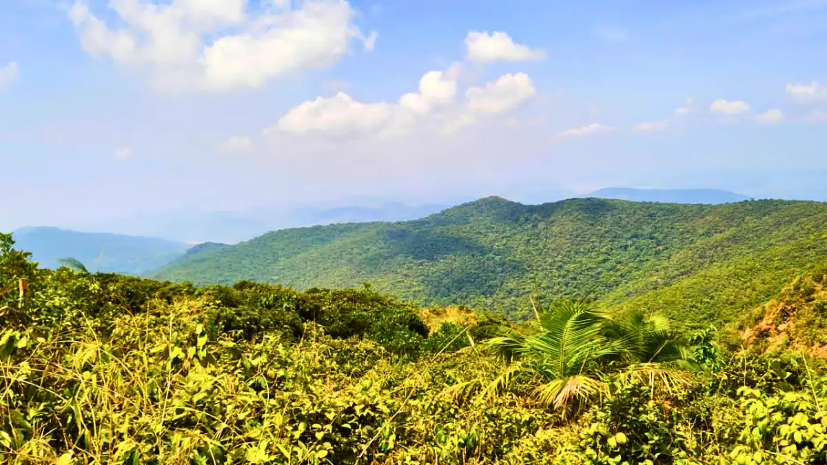 Saddle Peak National Park