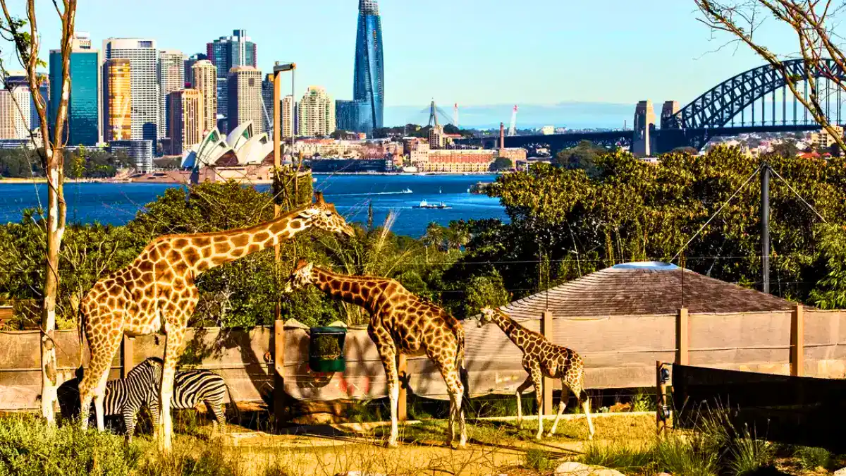 Taronga Zoo