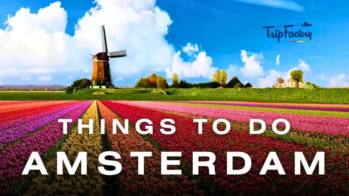 Things to do in Amsterdam Things to do in Amsterdam