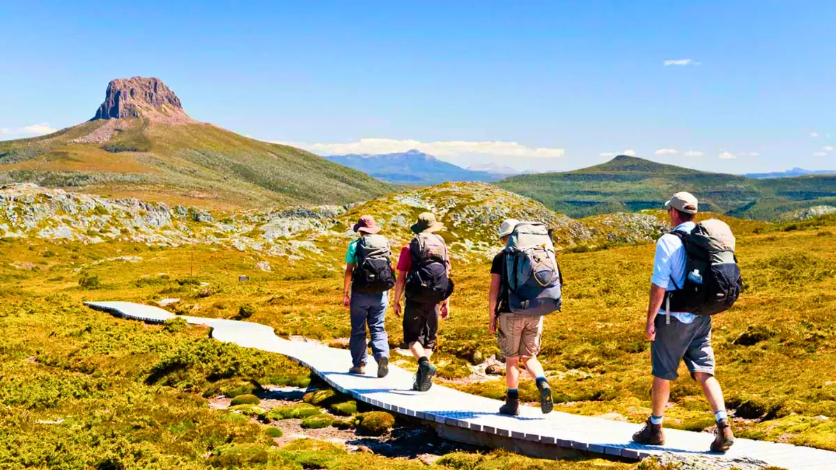 Visit the locals in Cradle Mountain