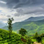 wayanad