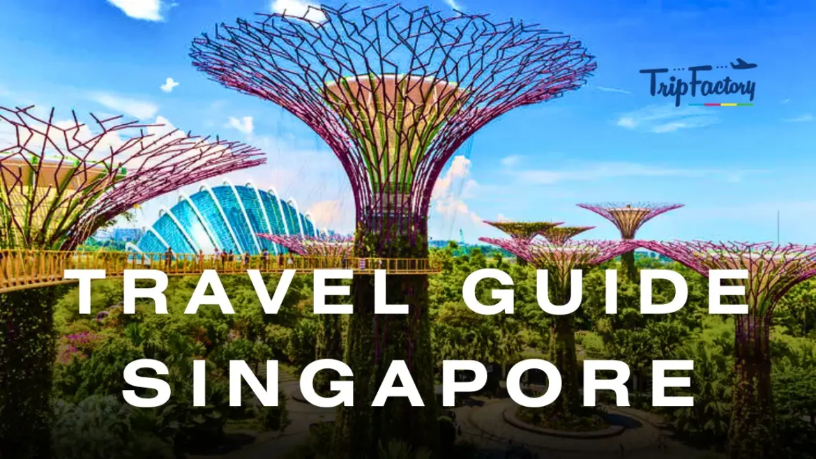 Singapore Travel Guide