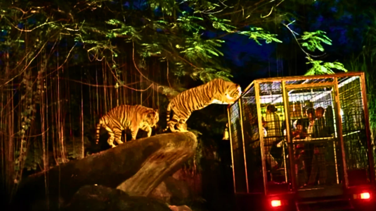 Singapore Zoo and Night Safari