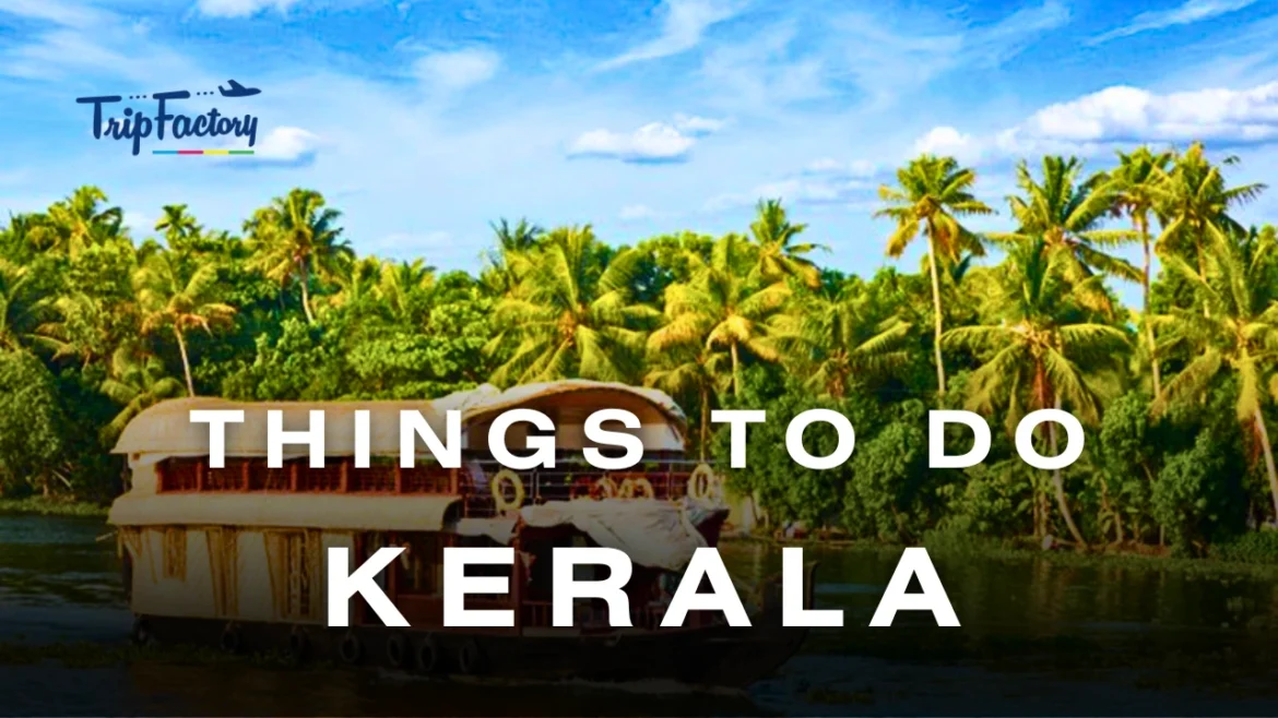 Things to do in Kerala
