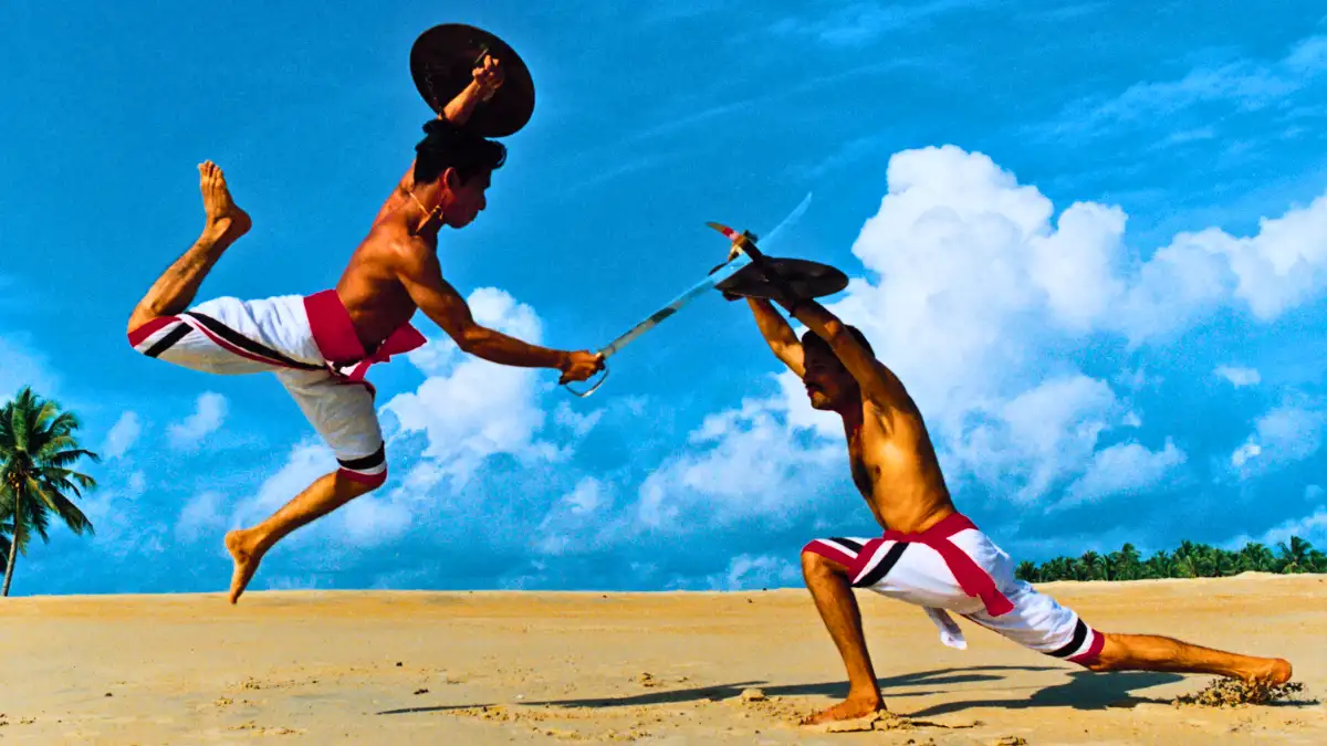 Watch the Martial Art Form of Kalaripayattu