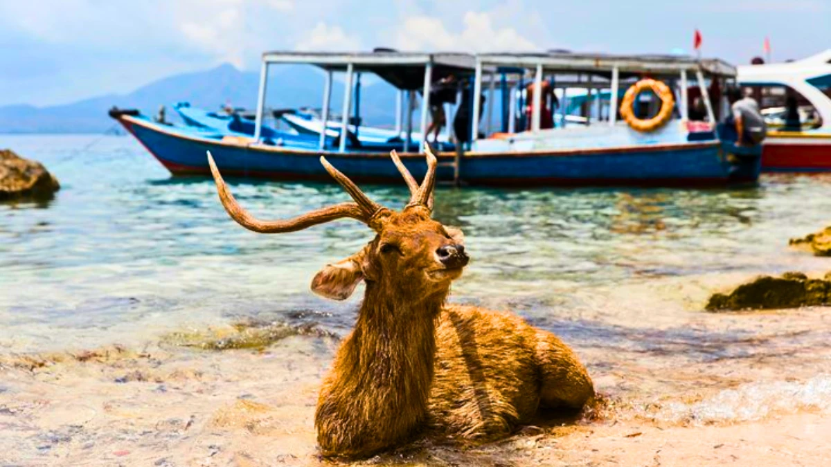 West Bali National Park